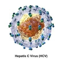 Responsabilità medica - La prova del contagio da virus hvc (epatite) - STUDIO LEGALE DI STEFANO